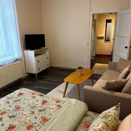 1 Bedroom Apartment Near Kadriorg Swan Pond Tallinn Eksteriør billede