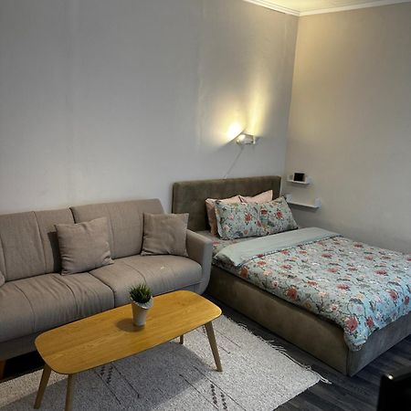 1 Bedroom Apartment Near Kadriorg Swan Pond Tallinn Eksteriør billede