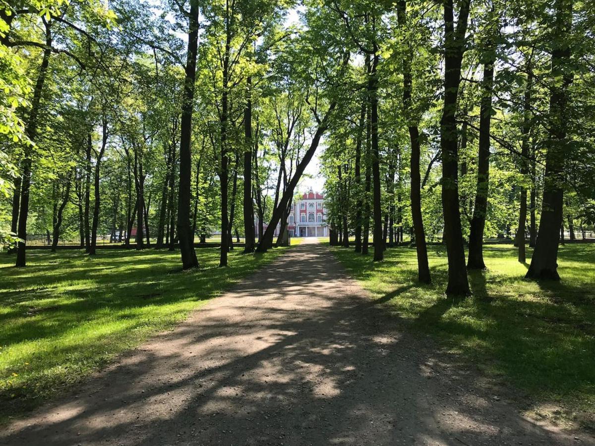 1 Bedroom Apartment Near Kadriorg Swan Pond Tallinn Eksteriør billede