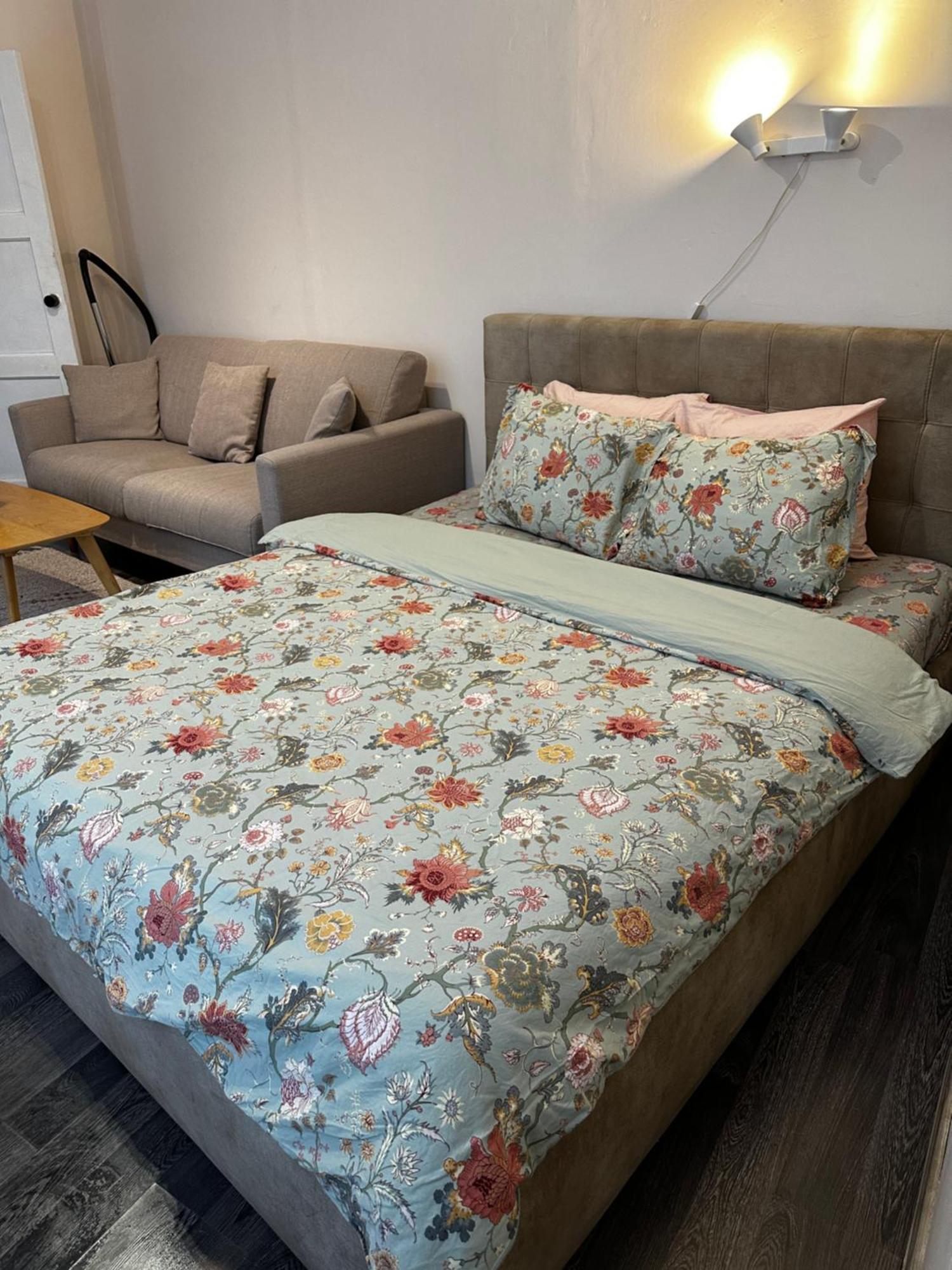 1 Bedroom Apartment Near Kadriorg Swan Pond Tallinn Eksteriør billede