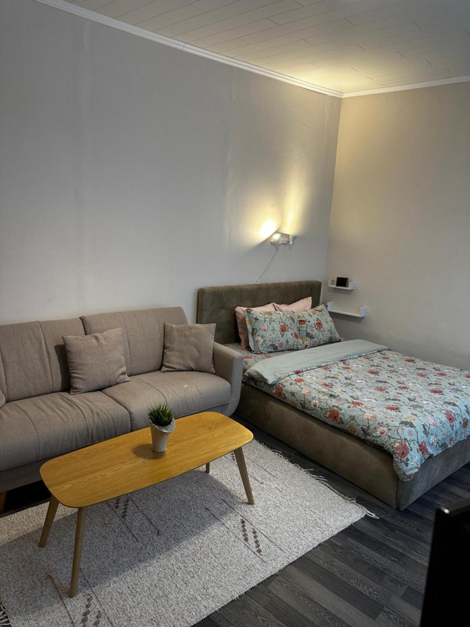 1 Bedroom Apartment Near Kadriorg Swan Pond Tallinn Eksteriør billede